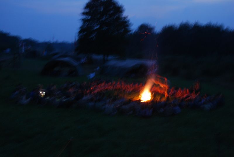 DSC_9305
